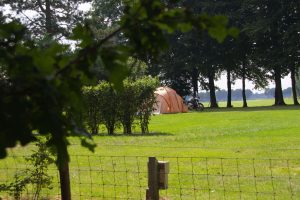 Een tent en een groen grasveld op een boerencamping drenthe