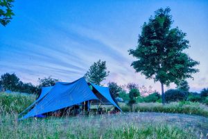 Een blauwe tent en een boom op een natuurcamping