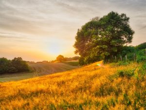 Zondsondergang over de velden bij de natuurcamping