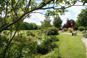 Veel antuur op de kleine camping frankrijk