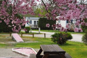 kleine campings frankrijk