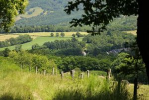 Een groen landschap dichtbij de boerencamping
