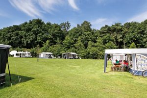 Een groen veld met caravans en een bos