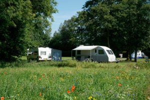 Bloemenveld met caravans