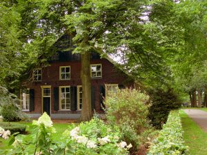 Poelhuis in het bos